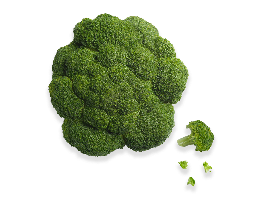 head of broccolii